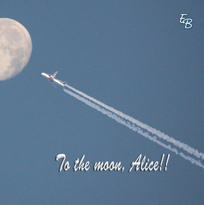 Team Page: The Moon Shots